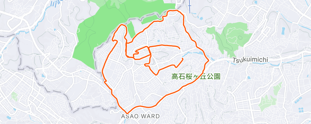 Map of the activity, 夜のランニング