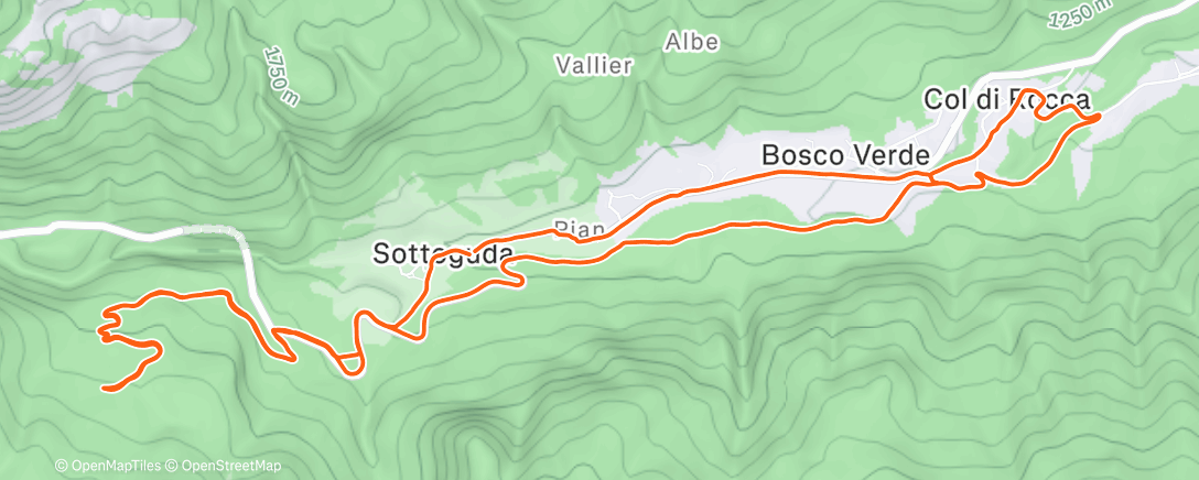 Карта физической активности (Metabolic)