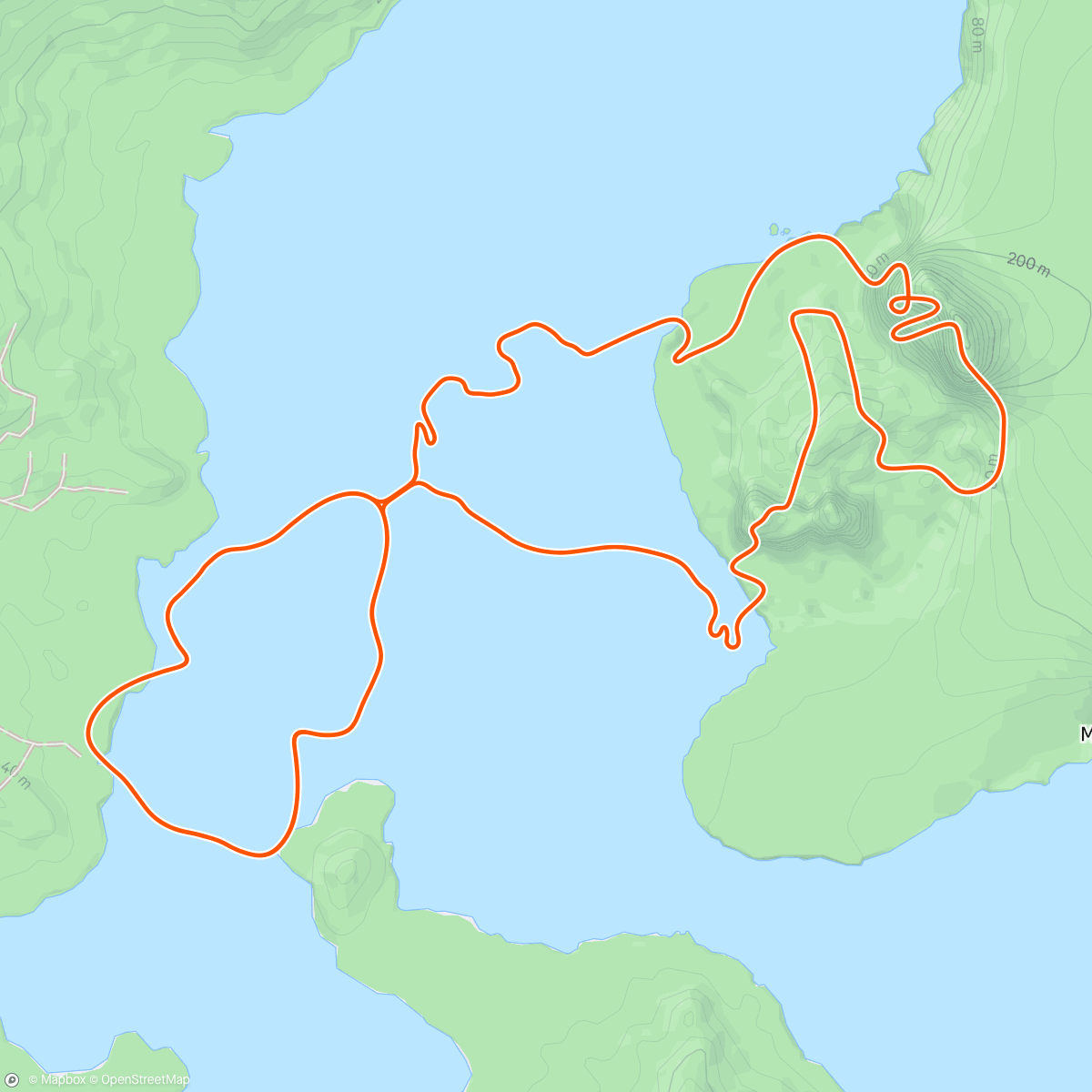 Map of the activity, Zwift - Boxing Day Quickie 45 mins in Watopia