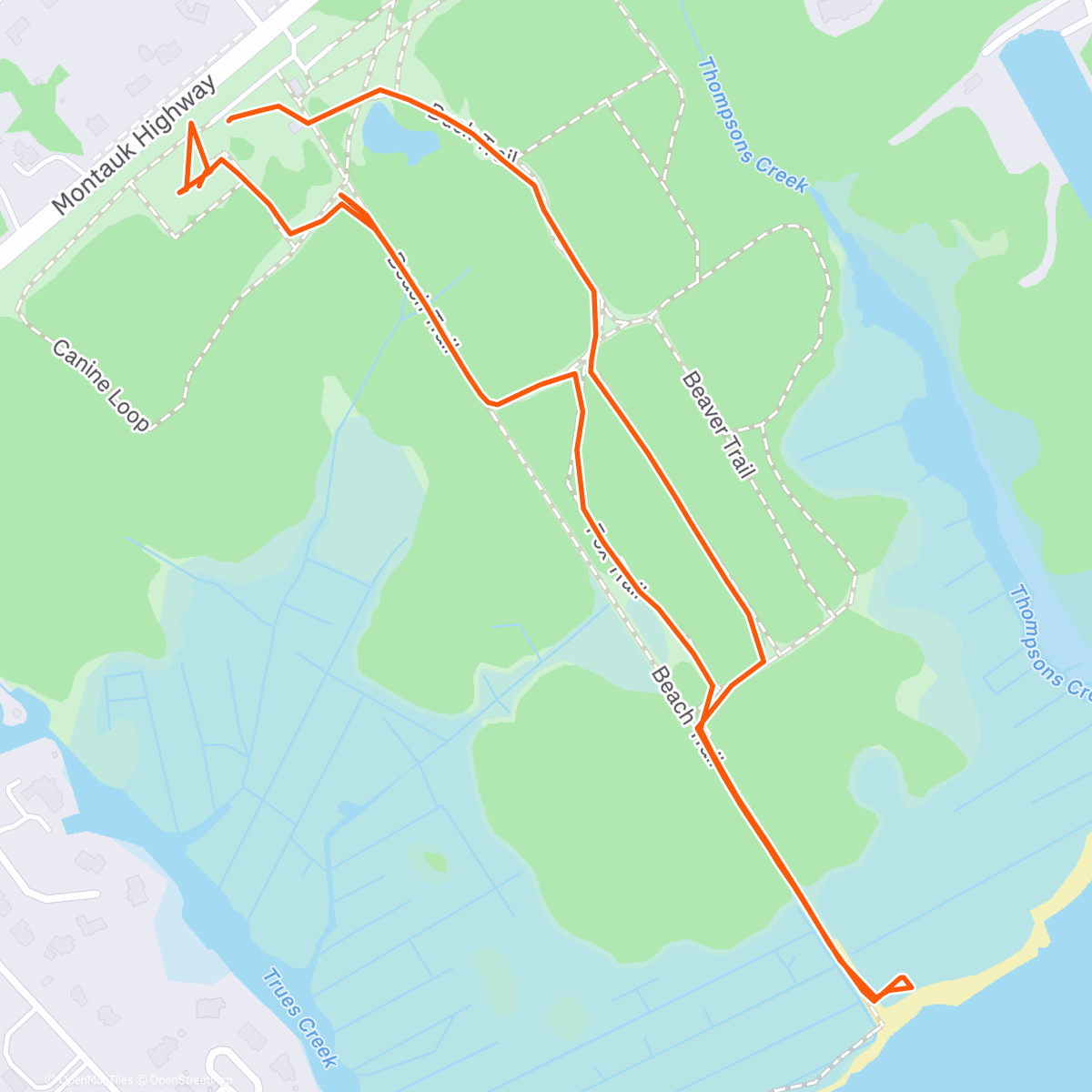 Map of the activity, dogs 🎄