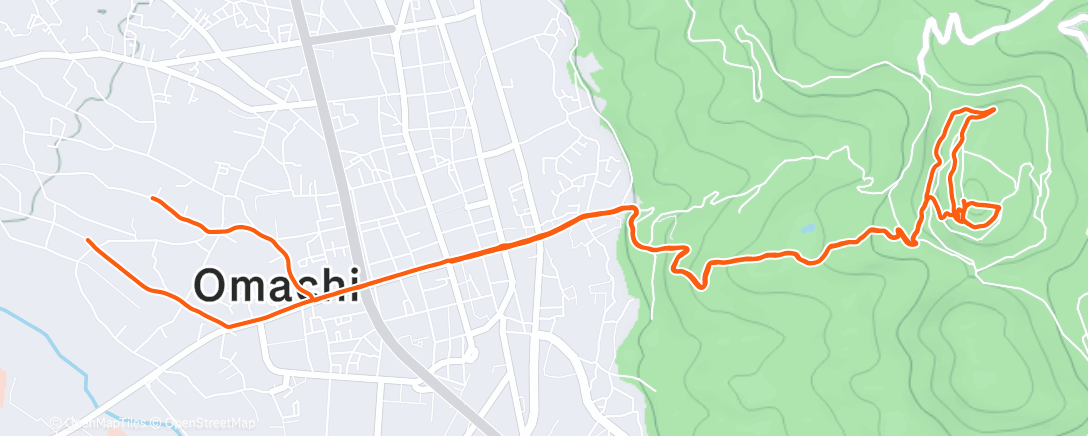 Карта физической активности (Afternoon Trail Run)