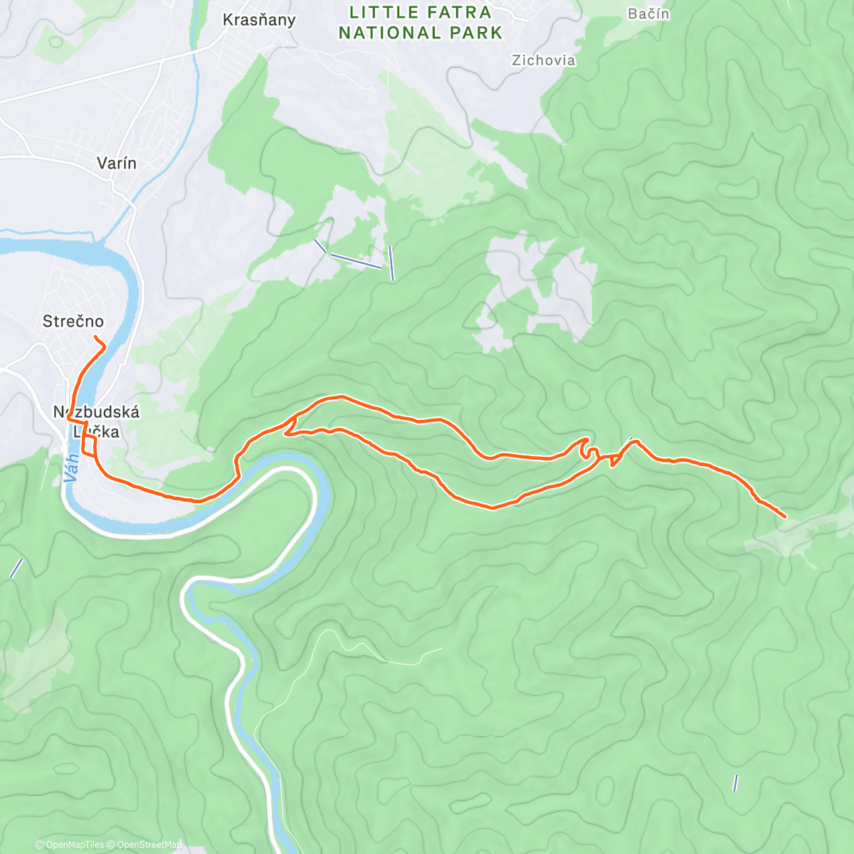 Карта физической активности (Morning Run)