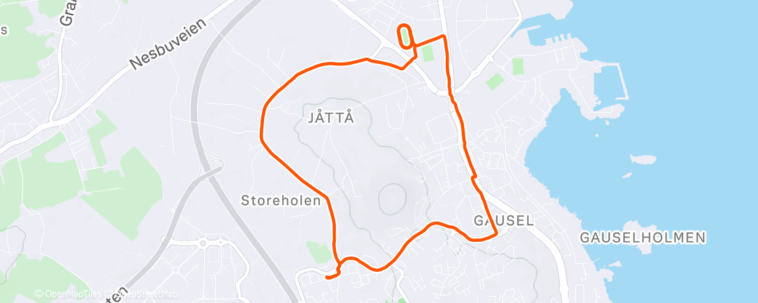 Карта физической активности (8X1000 🌄🏃🏼‍♀️‍➡️)