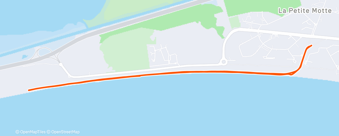 Карта физической активности (Morning Run)