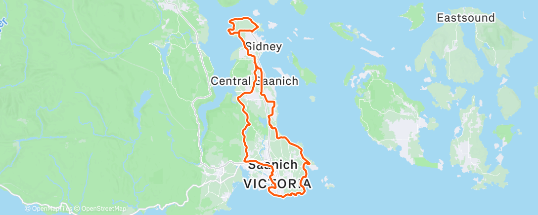 Карта физической активности (Afternoon Ride)