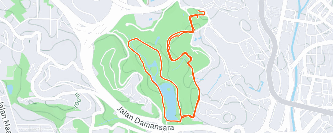 Map of the activity, Morning Run