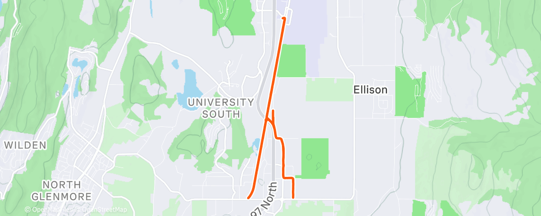 Mappa dell'attività Morning Run