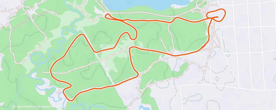 Карта физической активности (Lunch Nordic Ski)