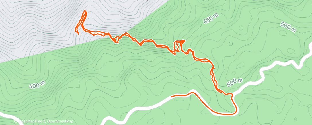 Map of the activity, Walking through the jungle