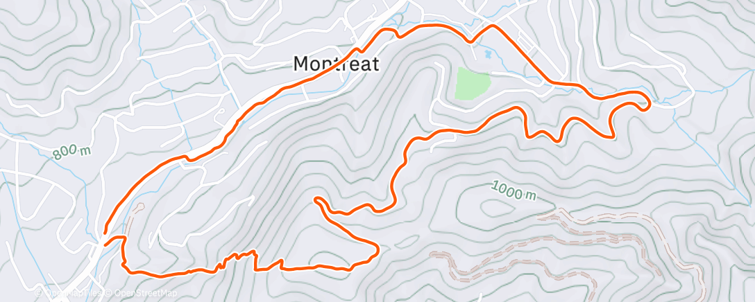 Карта физической активности (Afternoon Trail Run)