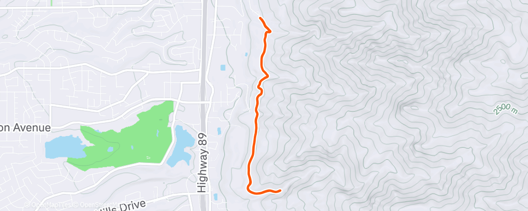 Map of the activity, Fernwood to Adams on the Shoreline