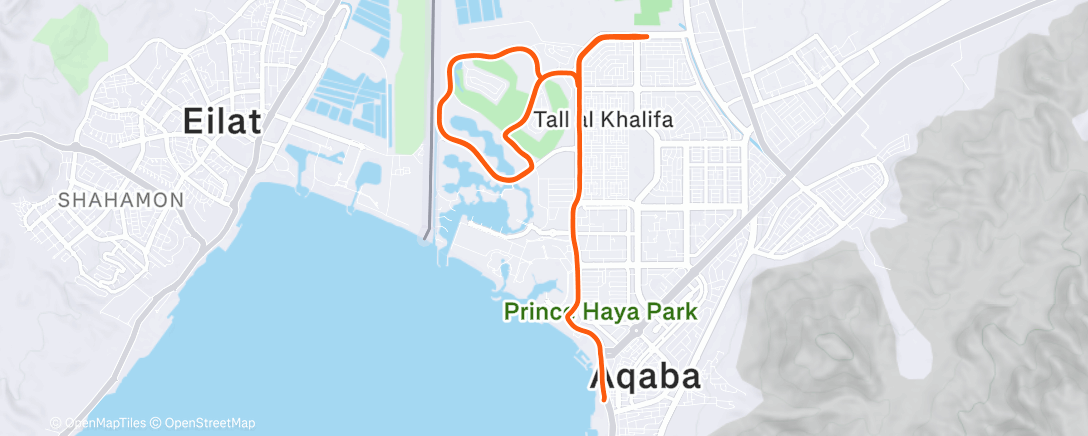Map of the activity, Morning Run