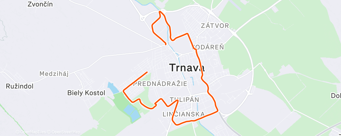 Карта физической активности (Afternoon Trail Run)