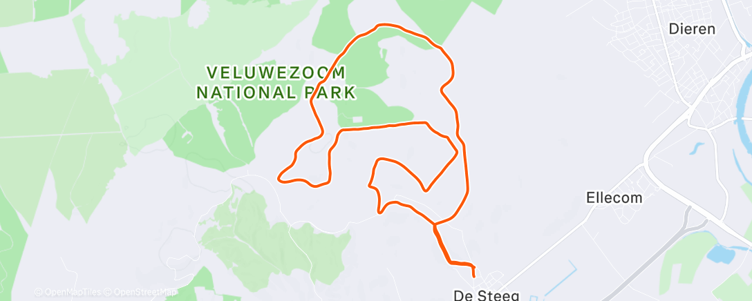 Map of the activity, Morning Run