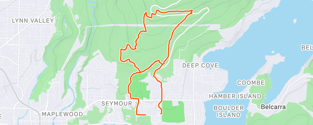 Карта физической активности (Morning Trail Run)