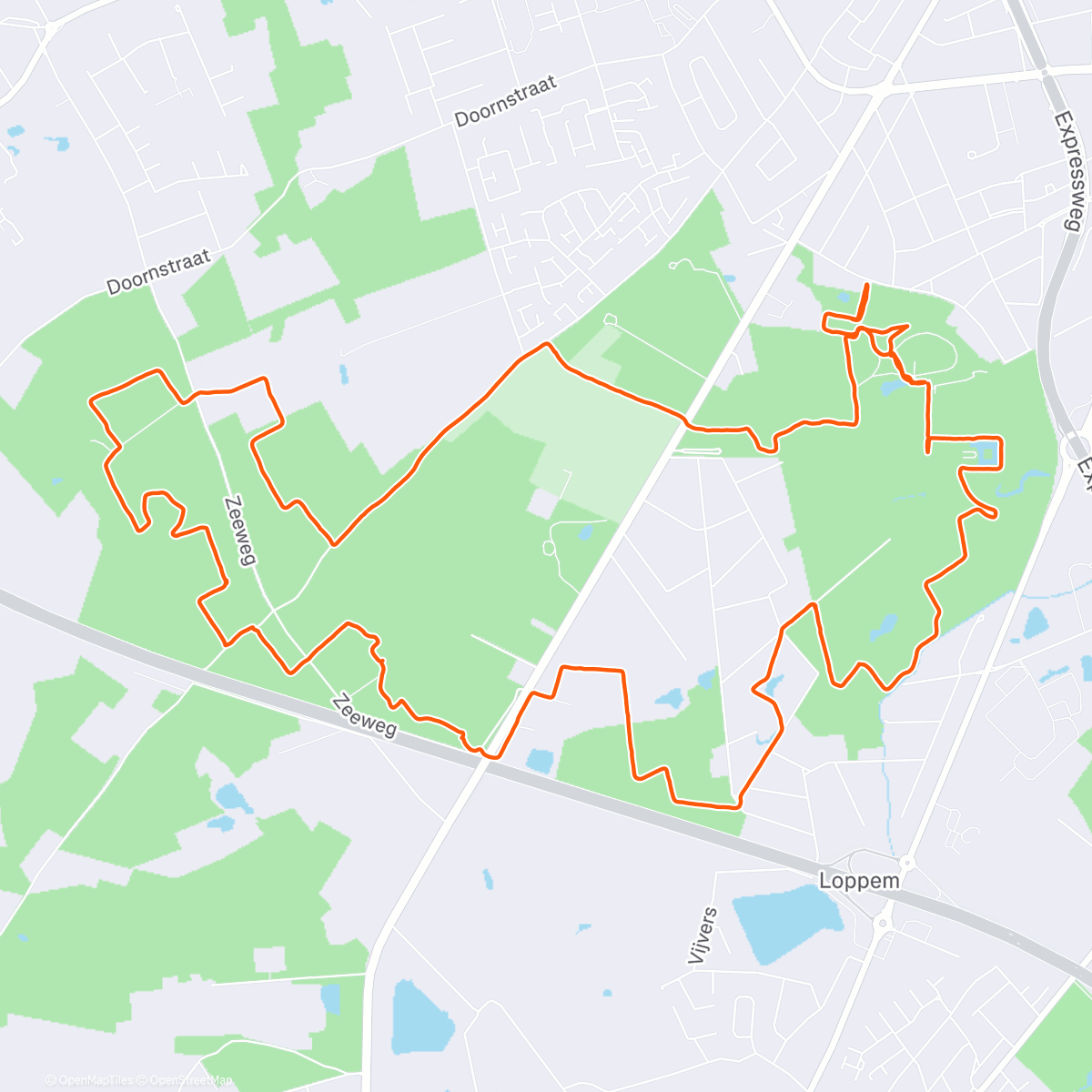 Mappa dell'attività ☃️❄️ Trailrun in de ❄️ ☃️
tijdens examen Xanthe 
de  3 🏰 wandeling