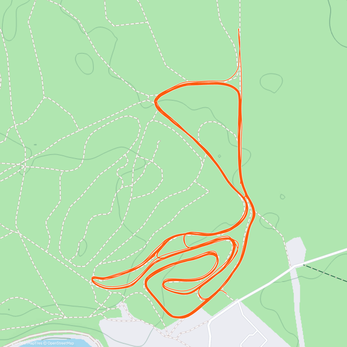 Map of the activity, Северный лыжный заезд (день)