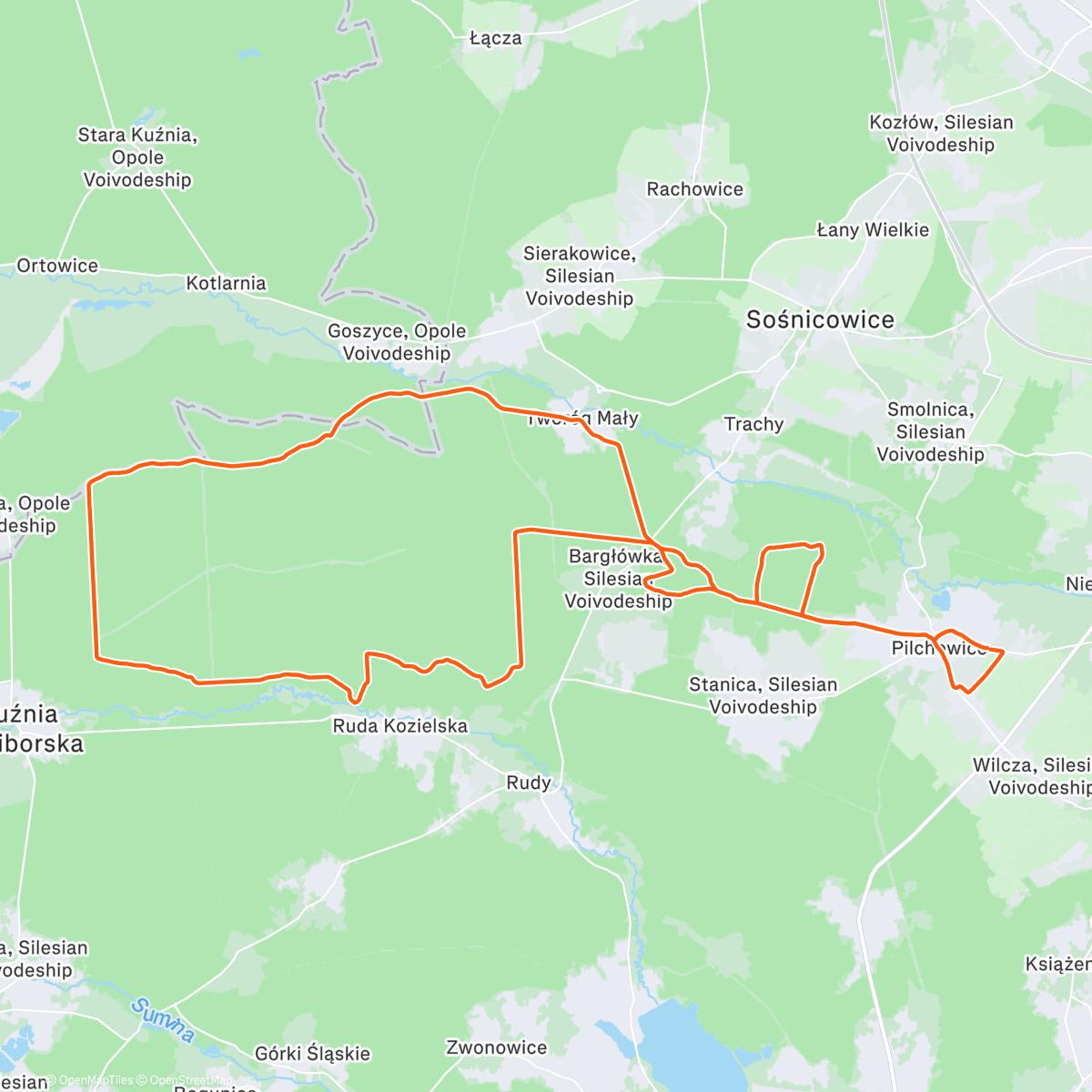 Карта физической активности (Sprawdzić „świąteczną” formę 👌)