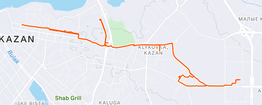 Карта физической активности (Дневной забег)