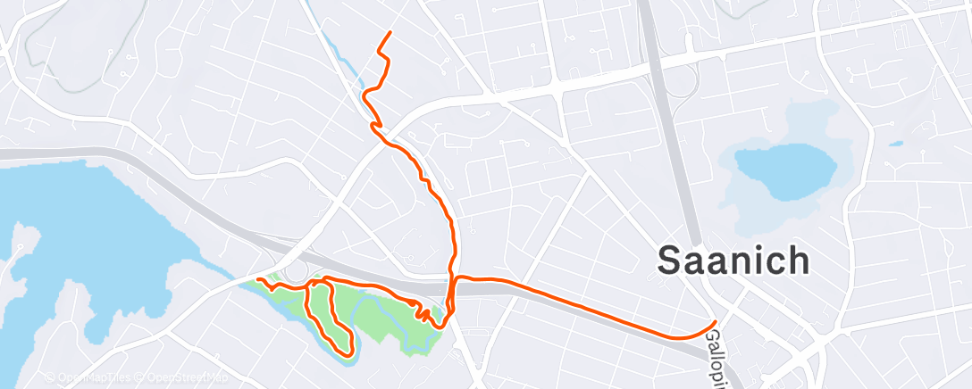 Map of the activity, Morning Trail Run