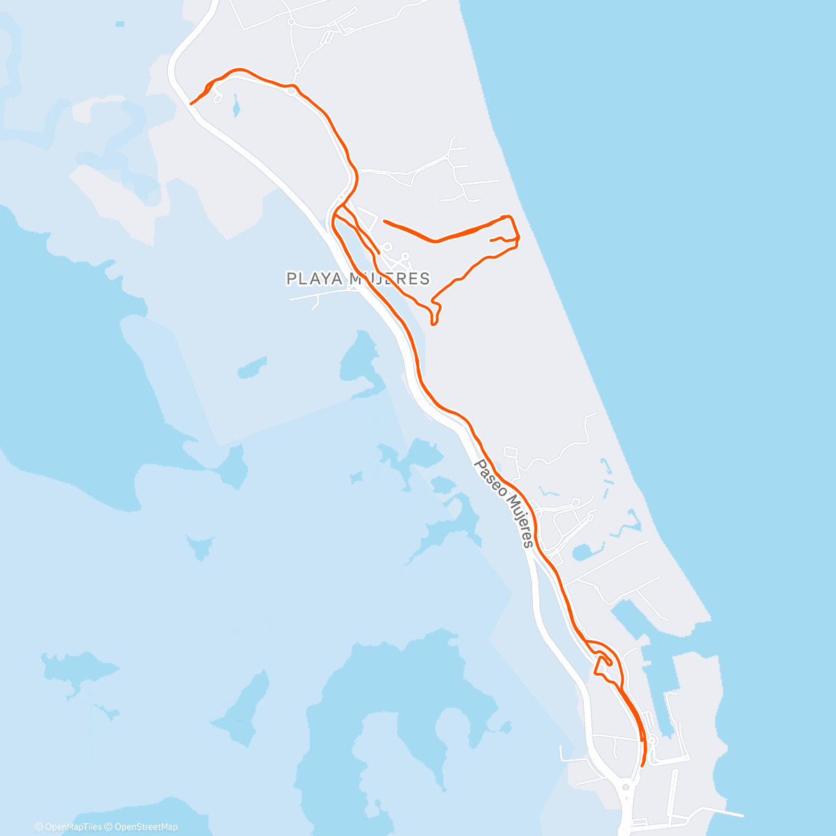 Map of the activity, I've never trusted lizards...  right from the gecko.