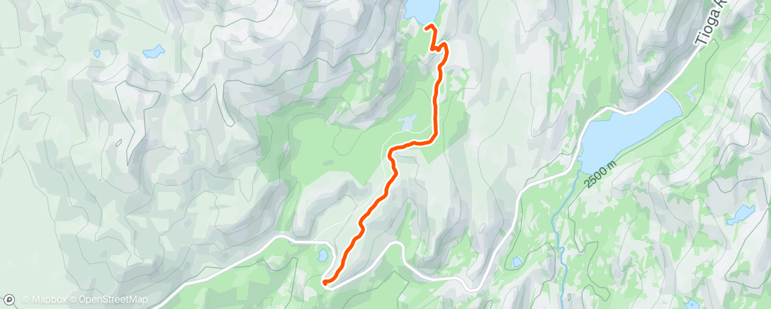 Map of the activity, Evening 1