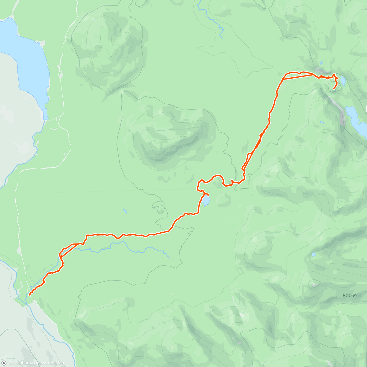 Map of the activity, Magical mossy run