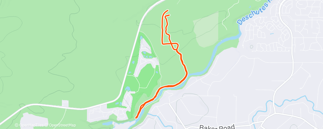 Карта физической активности (Morning Trail Run)