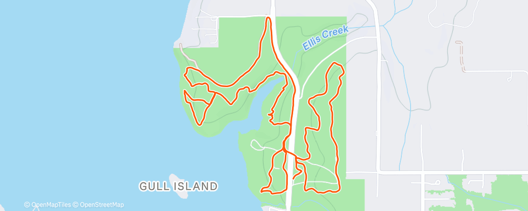 Map of the activity, Saturnalia course sweeping