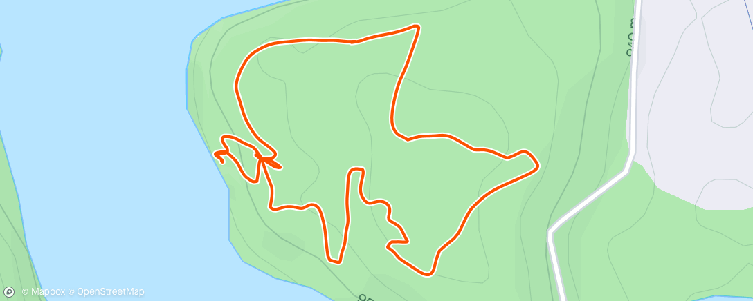 Map of the activity, Dog stroll