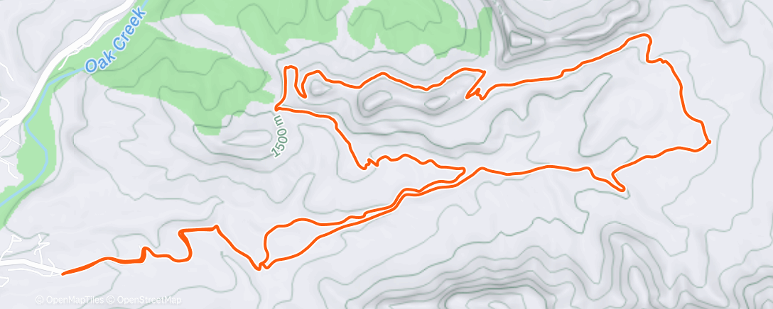 Карта физической активности (Lunch Ride)