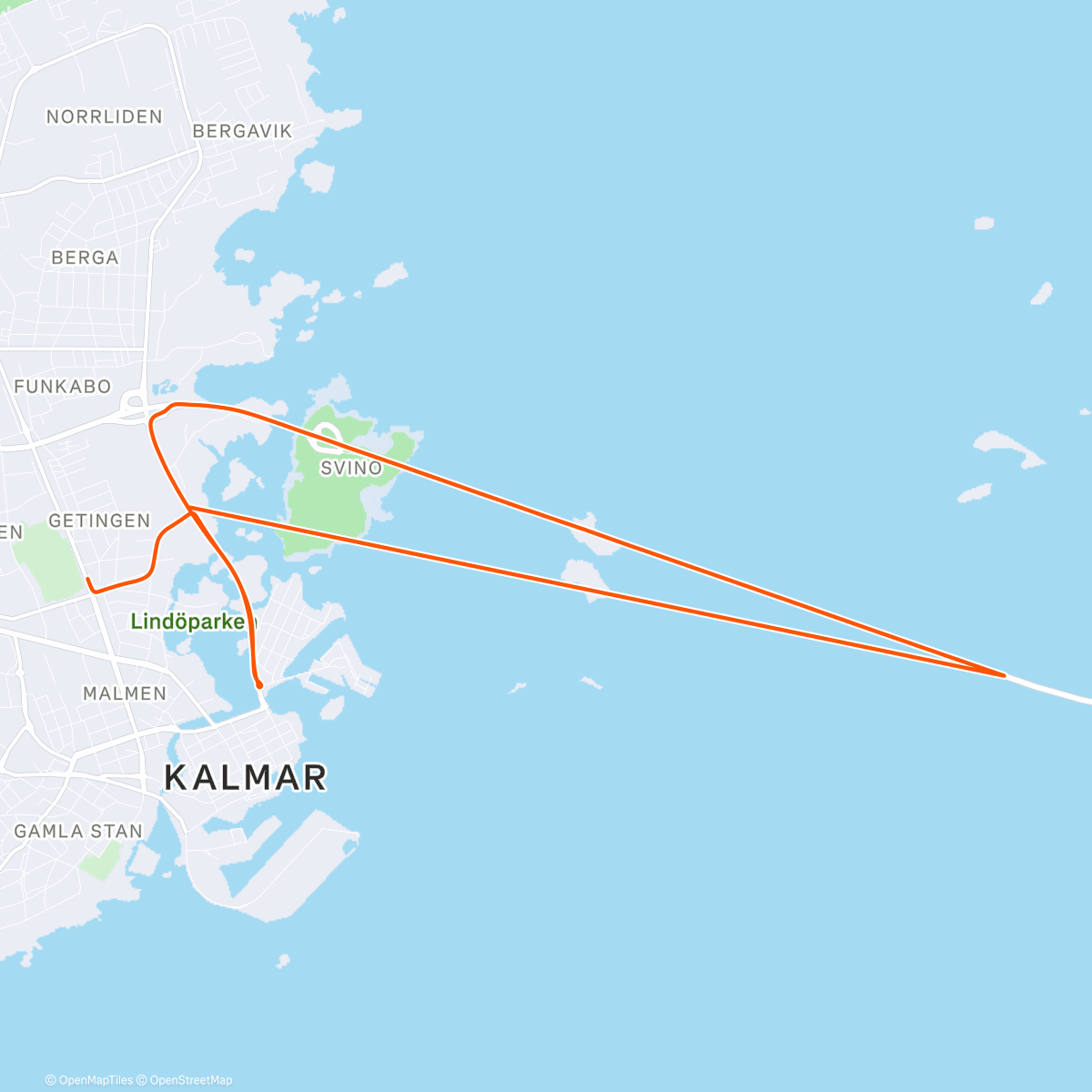 Карта физической активности (ROUVY - Brief W/U)