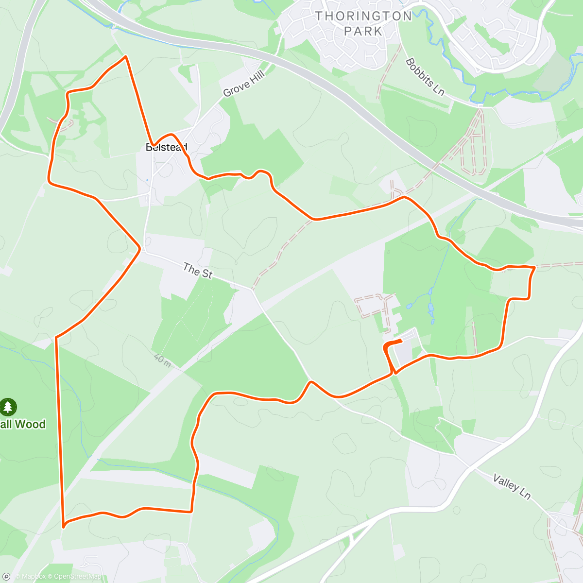 Map of the activity, Morning Trail Run