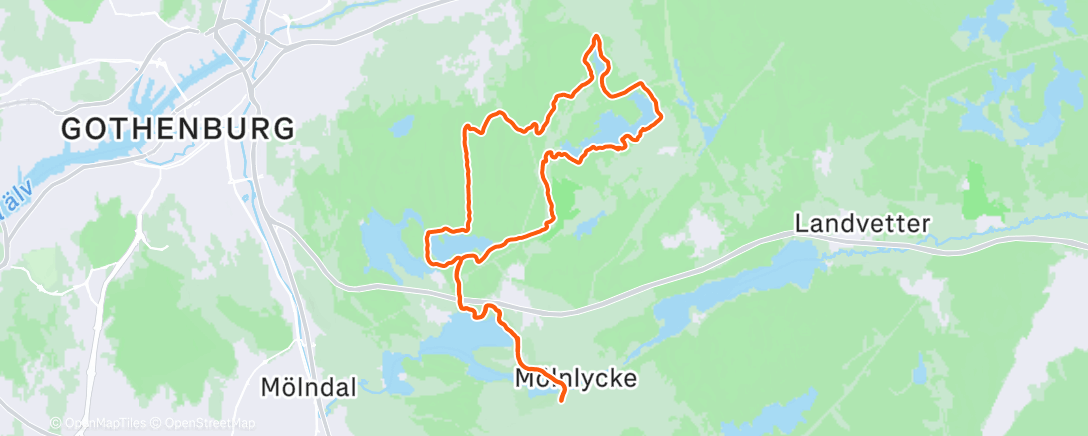 Map of the activity, Morning Trail Run