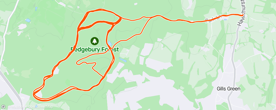 Map of the activity, Bedgebury Foresr Spring Training (Blue route)