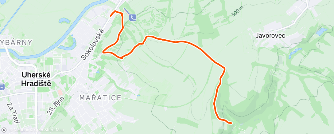 Map of the activity, Afternoon Walk