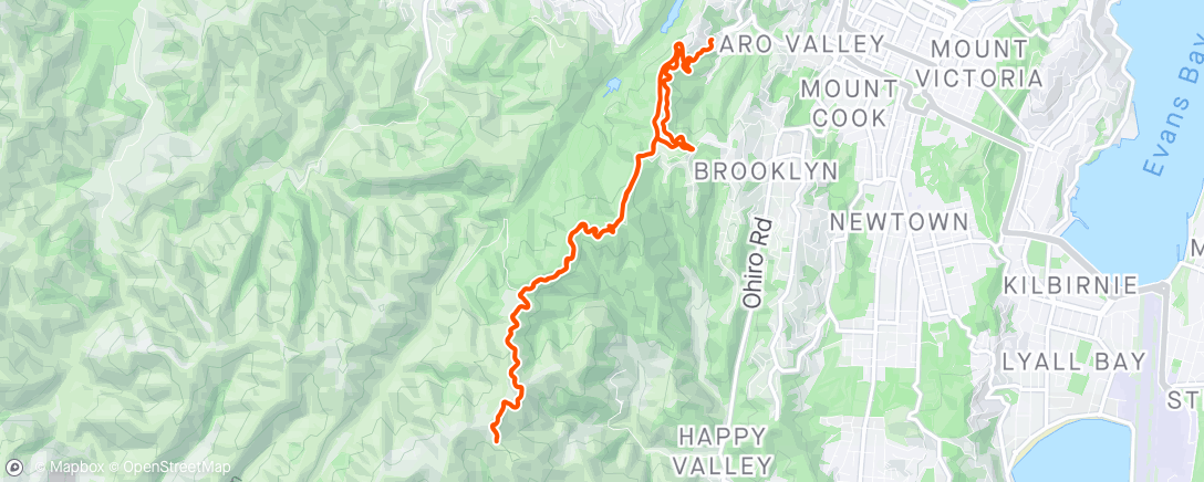 Map of the activity, Top of the tip track return