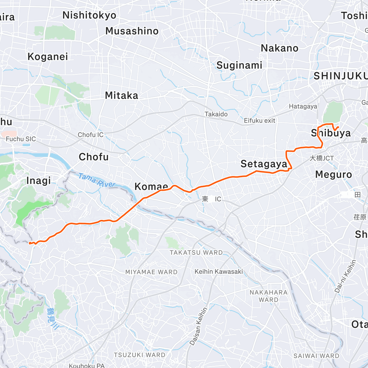 Map of the activity, Lunch Run