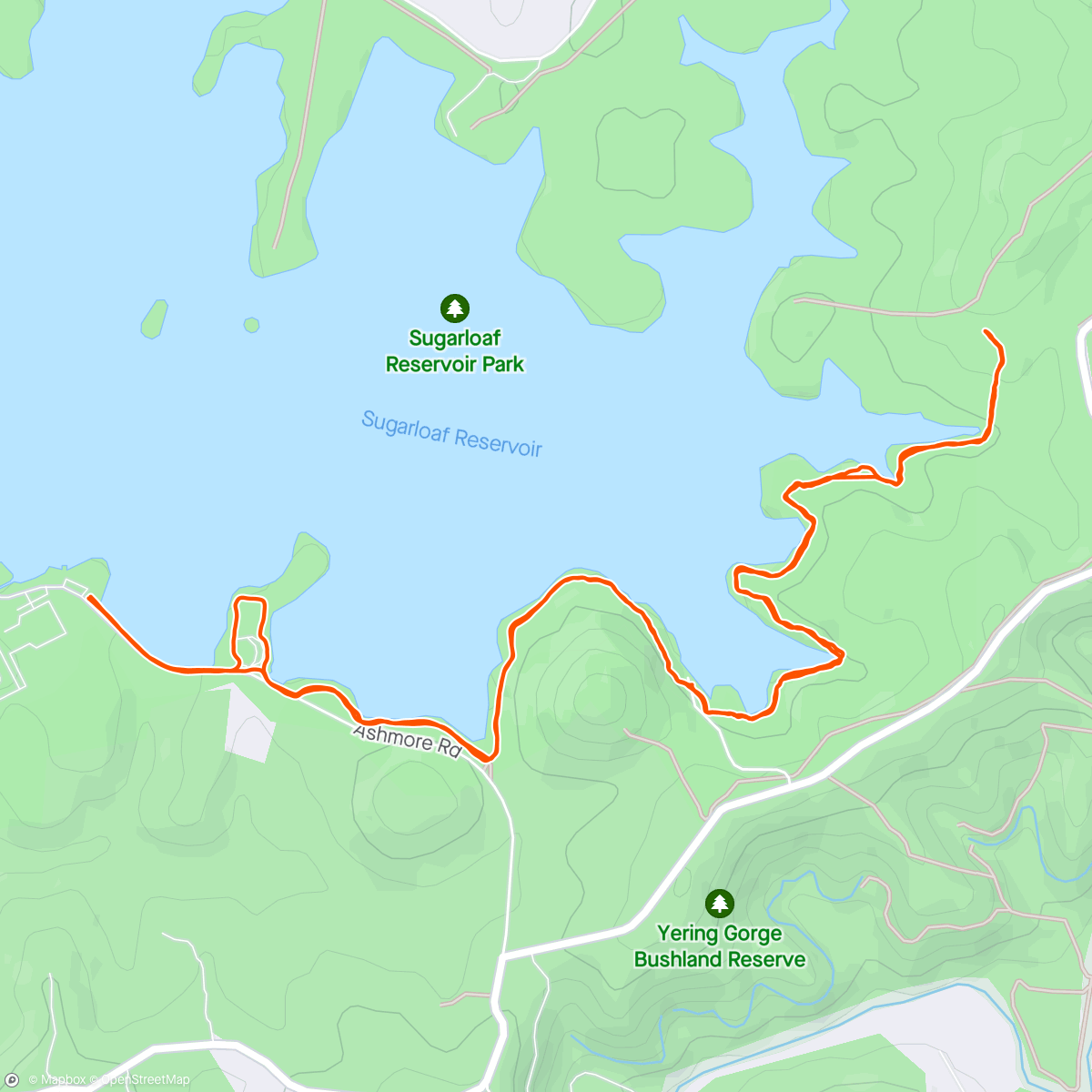 Map of the activity, ☁️ Half Sugarloaf Loop Trail Run return plus THAT HILL