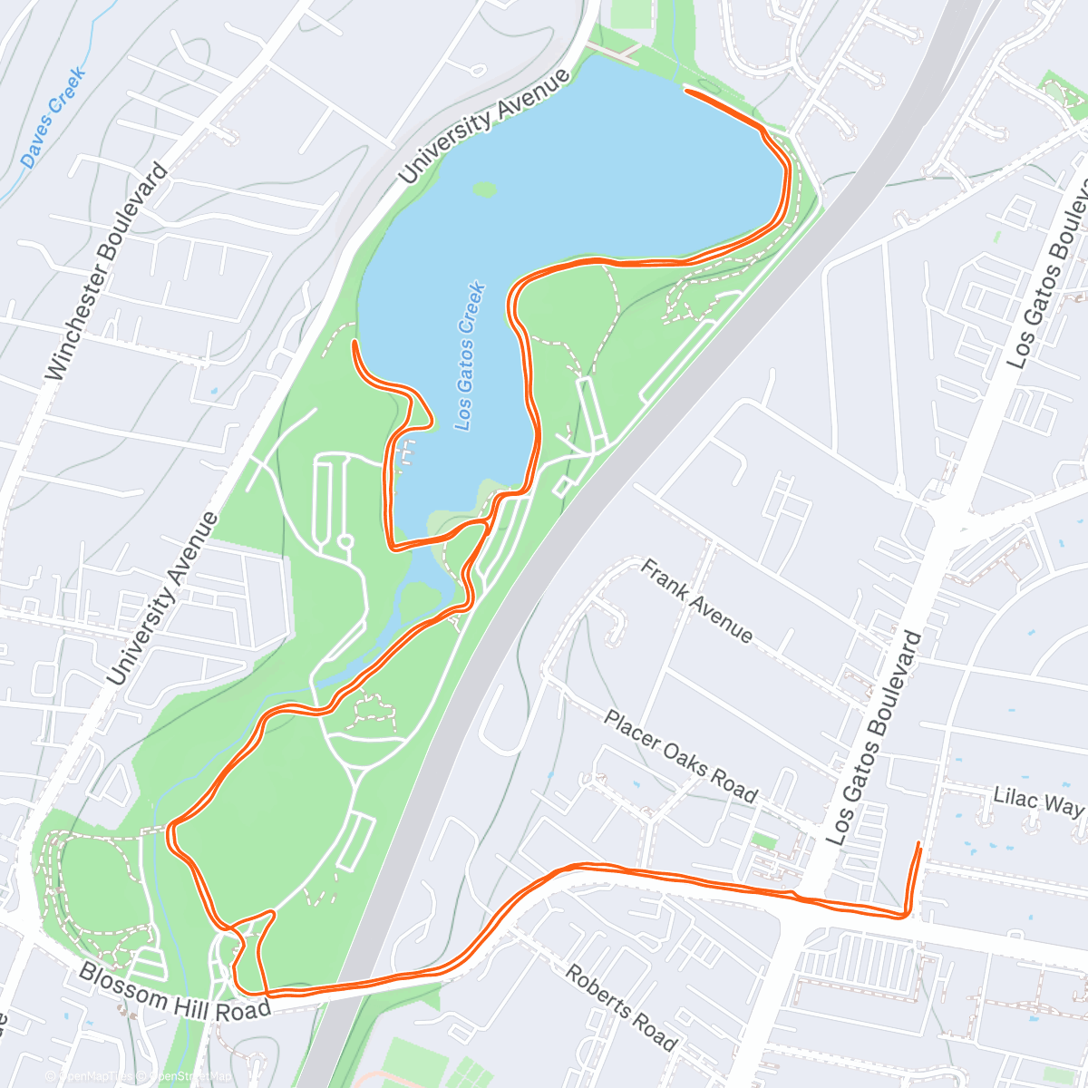 Карта физической активности (The End of the Summer)