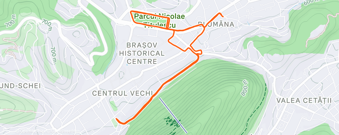 Карта физической активности (Morning Run)