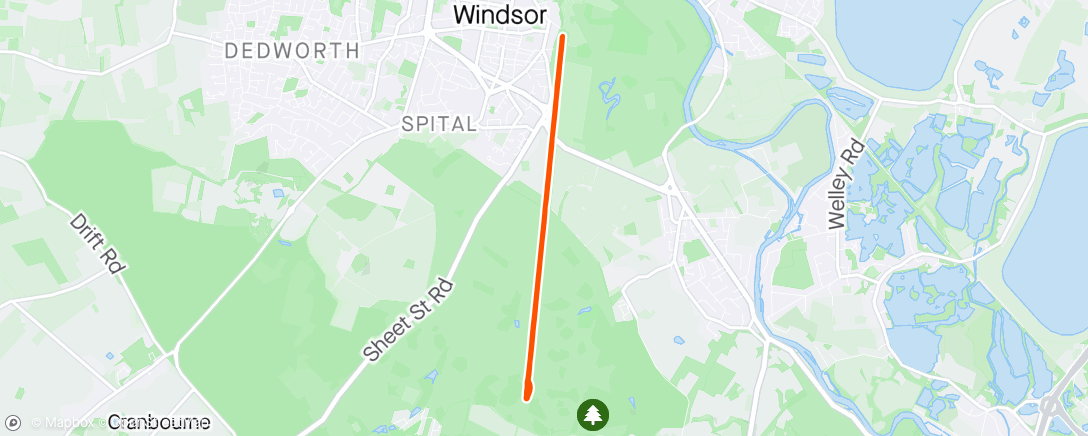 Mapa de la actividad (The Long Walk - Windsor)