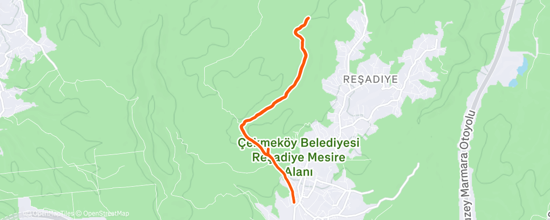 Map of the activity, Morning Trail Run