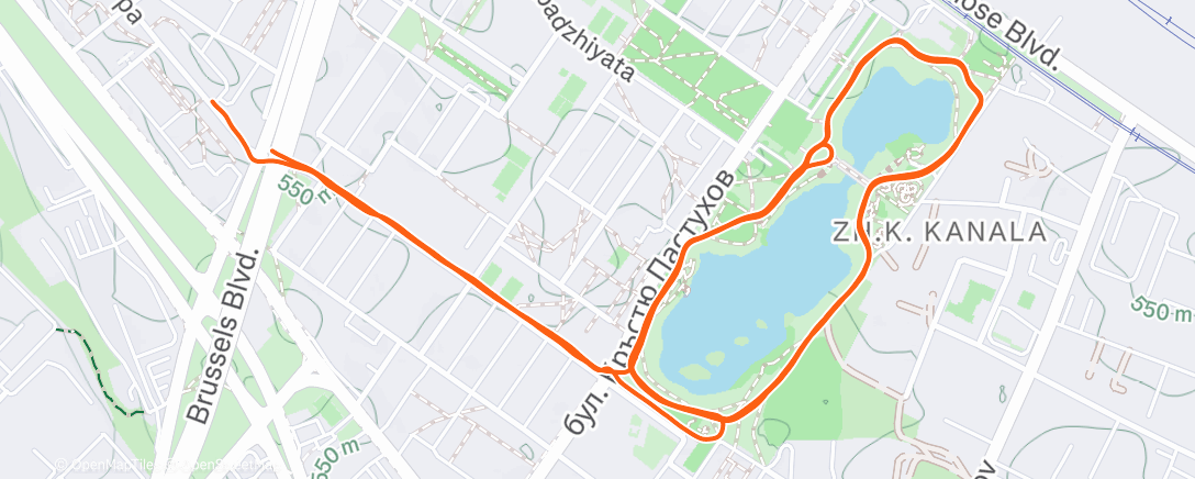 Карта физической активности (Afternoon Run)