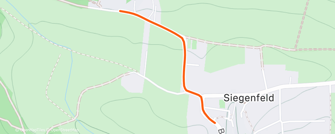 Карта физической активности (Spaziergang am Nachmittag)