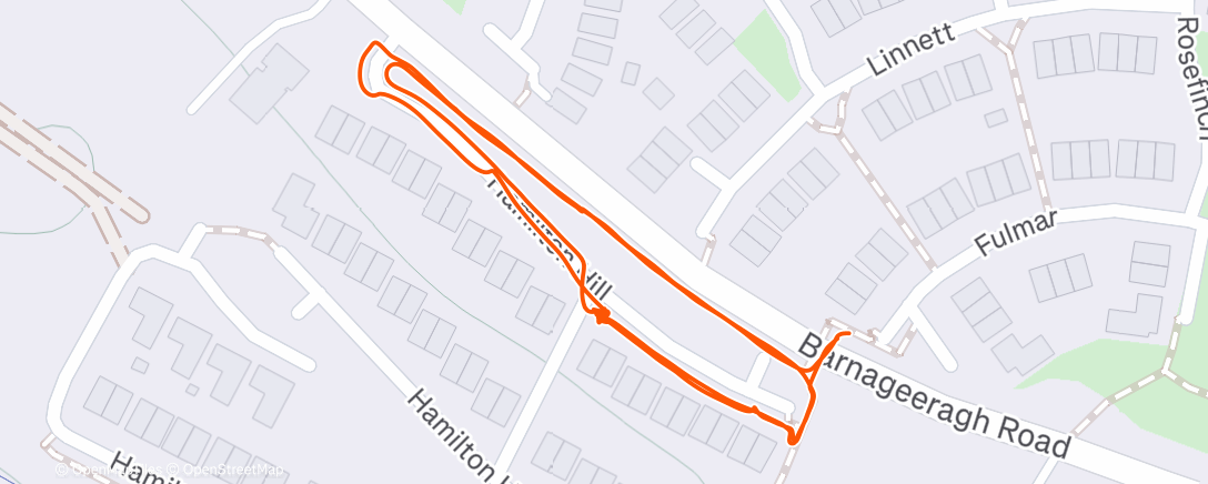 Map of the activity, Night Push