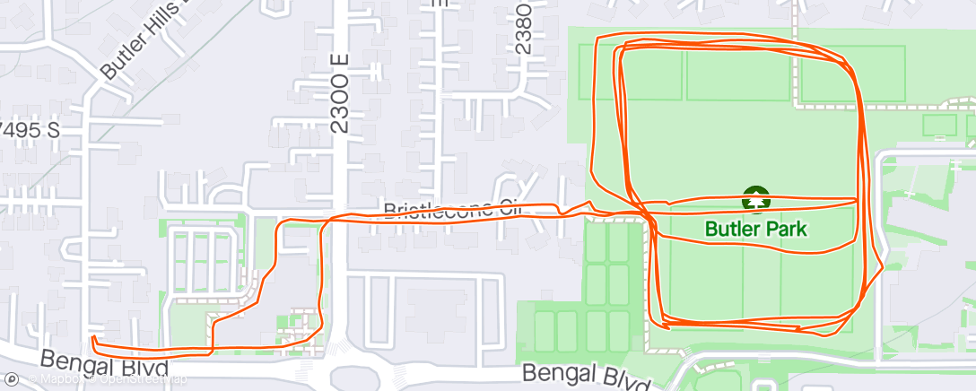 Map of the activity, Evening Run with 🐶