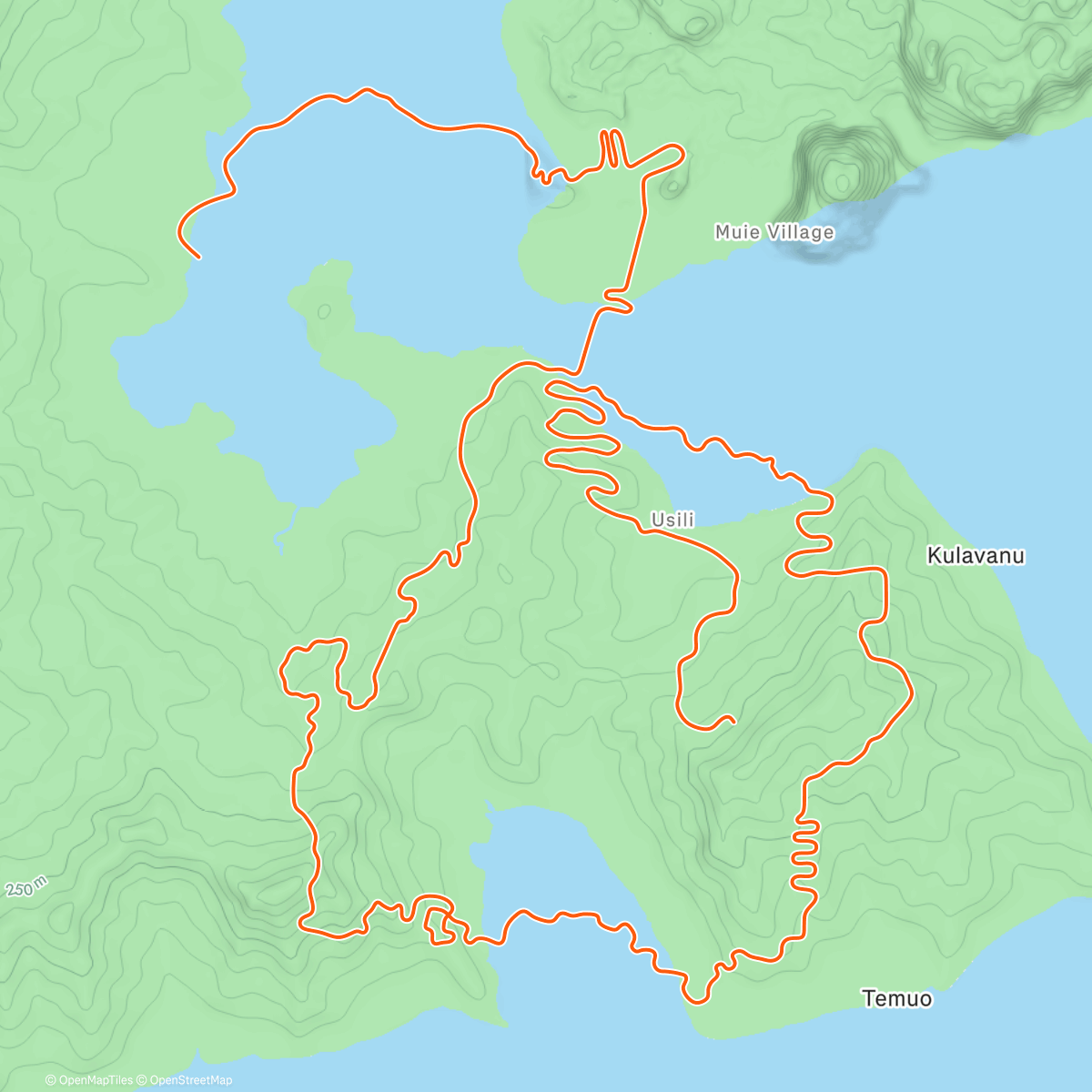 Карта физической активности (Zwift - Group Ride: Leader Cycling Team on ZG25 Queen in Watopia)