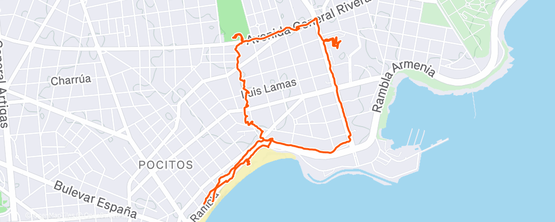 Карта физической активности (Pocitos)