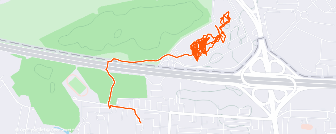 Карта физической активности (Дневная прогулка)